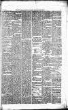 Caernarvon & Denbigh Herald Saturday 06 January 1866 Page 5