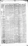Caernarvon & Denbigh Herald Saturday 20 January 1866 Page 3