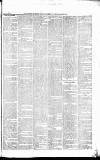 Caernarvon & Denbigh Herald Saturday 10 February 1866 Page 3