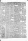 Caernarvon & Denbigh Herald Saturday 17 March 1866 Page 3
