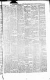 Caernarvon & Denbigh Herald Saturday 31 March 1866 Page 3