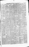 Caernarvon & Denbigh Herald Saturday 07 April 1866 Page 3