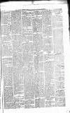 Caernarvon & Denbigh Herald Saturday 07 April 1866 Page 5