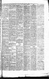 Caernarvon & Denbigh Herald Saturday 12 May 1866 Page 5