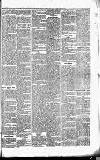 Caernarvon & Denbigh Herald Saturday 19 May 1866 Page 5