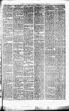 Caernarvon & Denbigh Herald Saturday 07 July 1866 Page 3