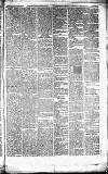 Caernarvon & Denbigh Herald Saturday 13 October 1866 Page 5