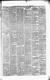 Caernarvon & Denbigh Herald Saturday 09 November 1867 Page 3