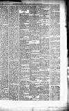Caernarvon & Denbigh Herald Saturday 20 June 1868 Page 5
