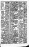 Caernarvon & Denbigh Herald Saturday 03 April 1869 Page 3