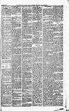 Caernarvon & Denbigh Herald Saturday 06 November 1869 Page 3