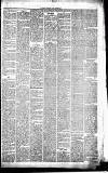 Caernarvon & Denbigh Herald Saturday 15 January 1870 Page 7