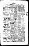 Caernarvon & Denbigh Herald Saturday 12 February 1870 Page 3
