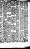 Caernarvon & Denbigh Herald Saturday 04 February 1871 Page 7