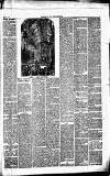 Caernarvon & Denbigh Herald Saturday 25 March 1871 Page 3