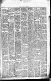 Caernarvon & Denbigh Herald Saturday 29 July 1871 Page 7