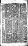 Caernarvon & Denbigh Herald Saturday 29 May 1875 Page 3