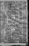 Caernarvon & Denbigh Herald Saturday 01 January 1876 Page 5