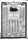 Caernarvon & Denbigh Herald Saturday 05 January 1878 Page 9