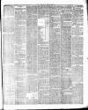 Caernarvon & Denbigh Herald Saturday 23 February 1878 Page 5