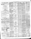 Caernarvon & Denbigh Herald Saturday 06 April 1878 Page 3