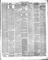 Caernarvon & Denbigh Herald Saturday 29 June 1878 Page 7