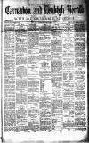 Caernarvon & Denbigh Herald Saturday 03 January 1880 Page 1