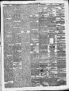 Leinster Reporter Wednesday 25 January 1865 Page 3