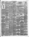 Leinster Reporter Wednesday 20 March 1867 Page 3