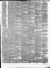 Leinster Reporter Thursday 08 March 1877 Page 3