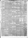 Leinster Reporter Thursday 29 March 1877 Page 3