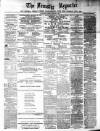 Leinster Reporter Thursday 21 February 1878 Page 1