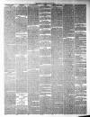 Leinster Reporter Thursday 28 February 1878 Page 3