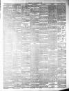 Leinster Reporter Thursday 10 October 1878 Page 3