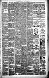 Merthyr Express Saturday 05 February 1887 Page 3