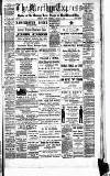 Merthyr Express Saturday 25 January 1890 Page 1