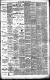 Merthyr Express Saturday 20 May 1893 Page 5