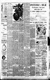 Merthyr Express Saturday 24 March 1900 Page 3