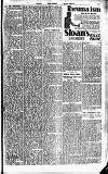 Merthyr Express Saturday 10 January 1931 Page 17