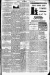 Merthyr Express Saturday 24 January 1931 Page 3