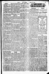 Merthyr Express Saturday 07 February 1931 Page 19