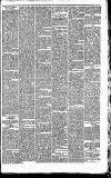 Welshman Friday 08 March 1895 Page 3