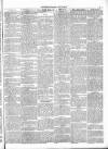 Stockton Herald, South Durham and Cleveland Advertiser Saturday 23 October 1875 Page 3