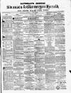 Swansea and Glamorgan Herald Saturday 13 June 1863 Page 1