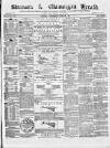 Swansea and Glamorgan Herald Saturday 22 June 1867 Page 1