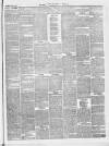 Swansea and Glamorgan Herald Saturday 22 June 1867 Page 3