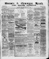 Swansea and Glamorgan Herald Wednesday 13 January 1869 Page 1