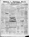 Swansea and Glamorgan Herald Saturday 06 February 1869 Page 1