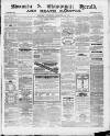 Swansea and Glamorgan Herald Wednesday 10 February 1869 Page 1