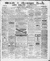 Swansea and Glamorgan Herald Saturday 13 February 1869 Page 1